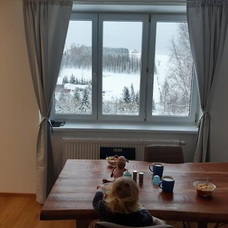 Apartman U Kunstatskeho Mlyna Orlicke Zahori Екстер'єр фото