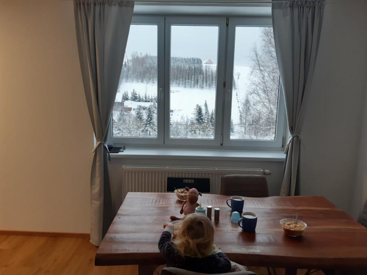 Apartman U Kunstatskeho Mlyna Orlicke Zahori Екстер'єр фото