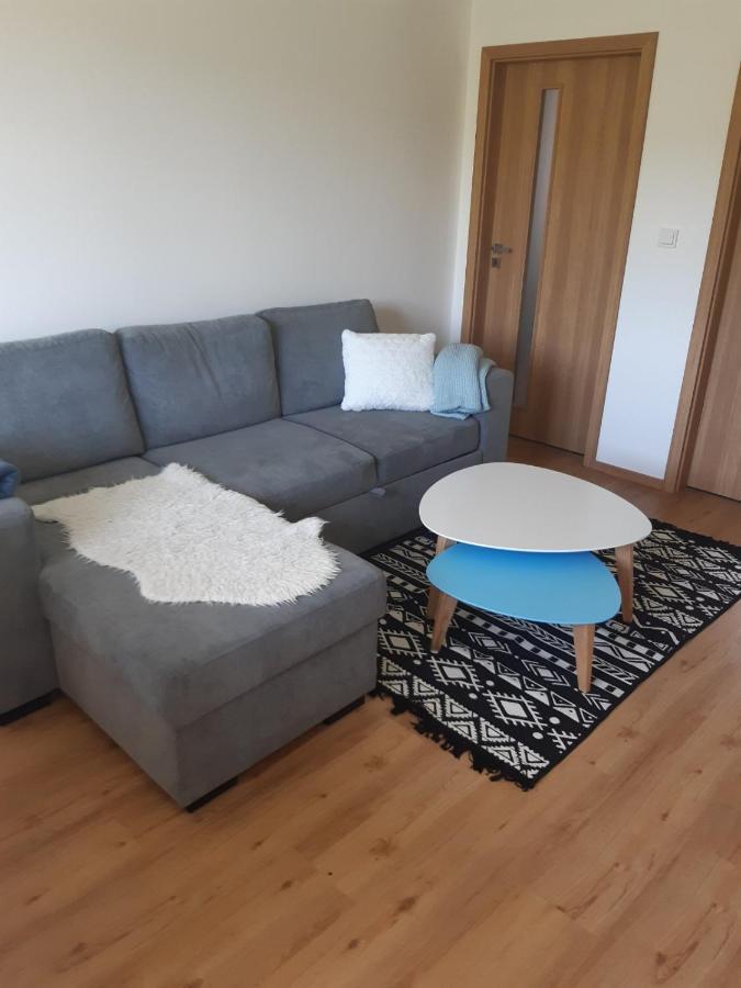 Apartman U Kunstatskeho Mlyna Orlicke Zahori Екстер'єр фото