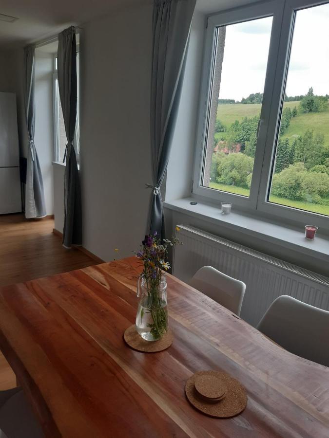 Apartman U Kunstatskeho Mlyna Orlicke Zahori Екстер'єр фото