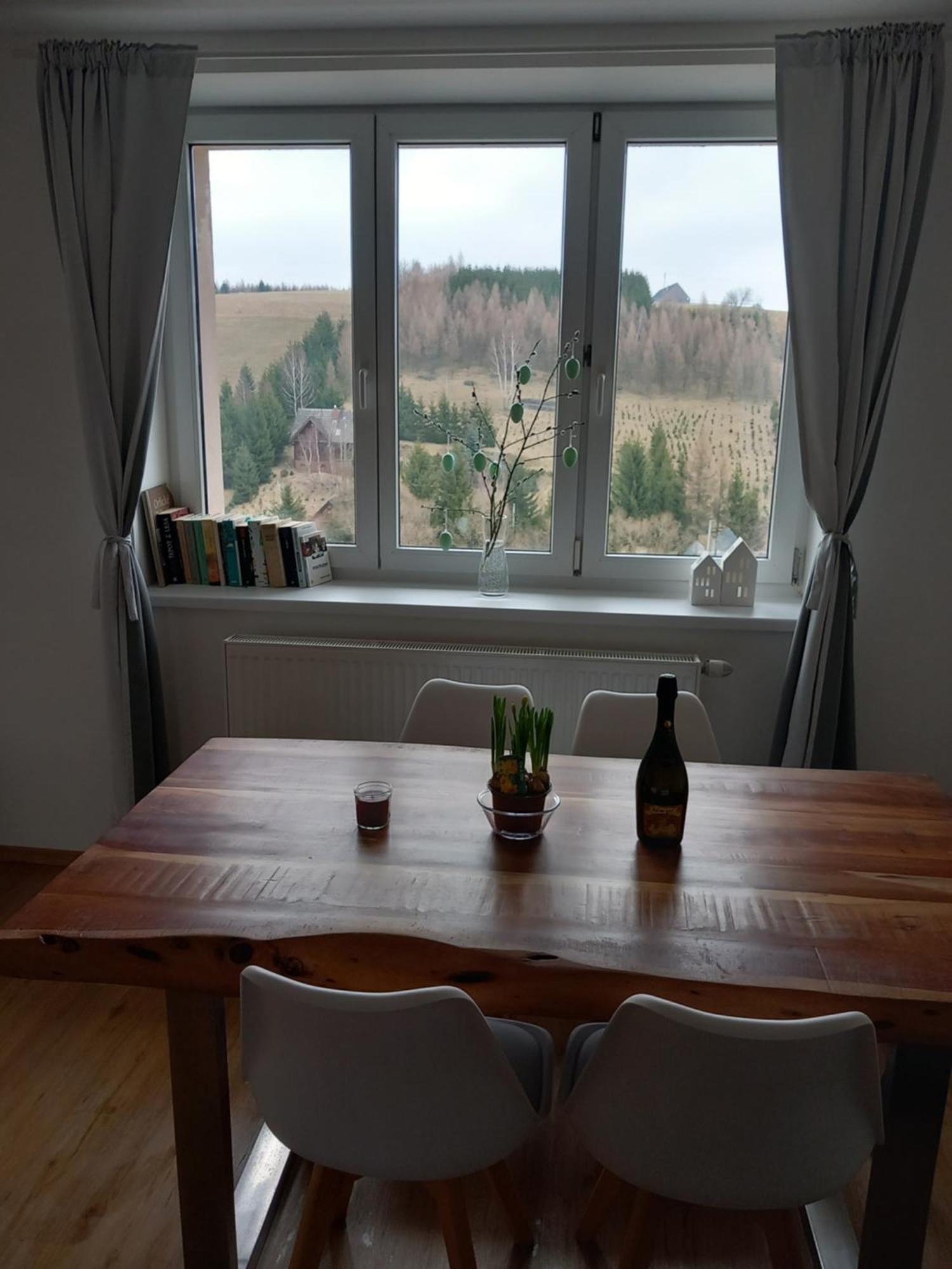 Apartman U Kunstatskeho Mlyna Orlicke Zahori Екстер'єр фото