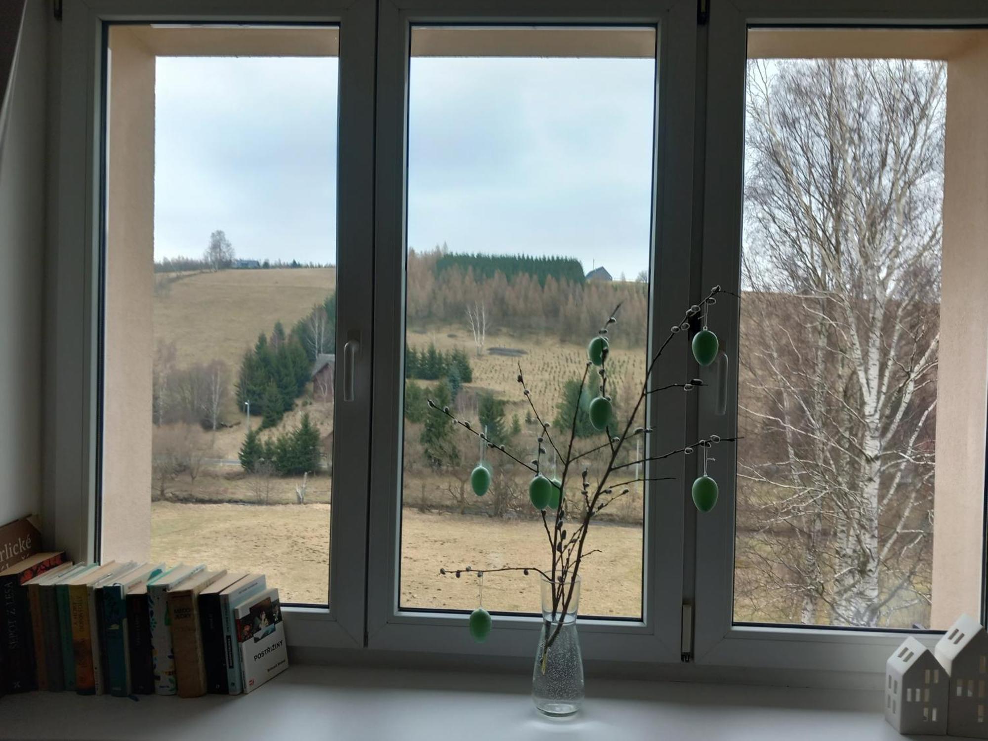 Apartman U Kunstatskeho Mlyna Orlicke Zahori Екстер'єр фото